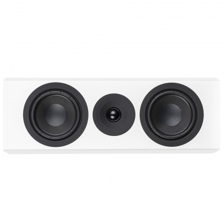System Audio SA Legend 10.2 silverback