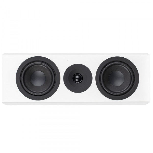 System Audio SA Legend 10.2 silverback
