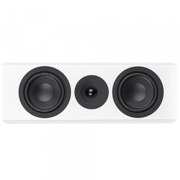 System Audio SA Legend 10.2 silverback