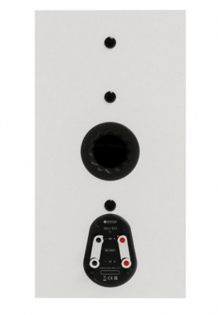 Monitor Audio Silver 100 8G