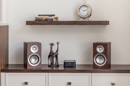 Paradigm PW AMP
