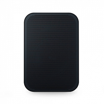 Bluesound PULSE FLEX 2i
