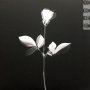 Depeche Mode ‎- Violator (180 Gr)