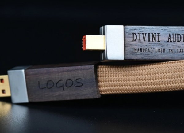 Divini Audio LOGOS Pure Silver USB Cable 1.0 m