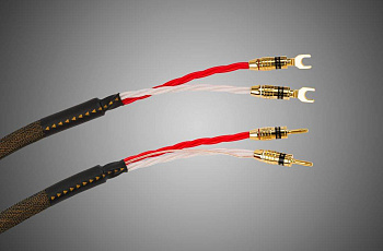 Tchernov Cable Reference DSC SC Sp/Bn 4.35 m
