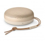 Bang & Olufsen Beosound A1 2nd Gen