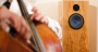 Audio Note AN-E