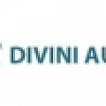 Divini Audio Divini Audio