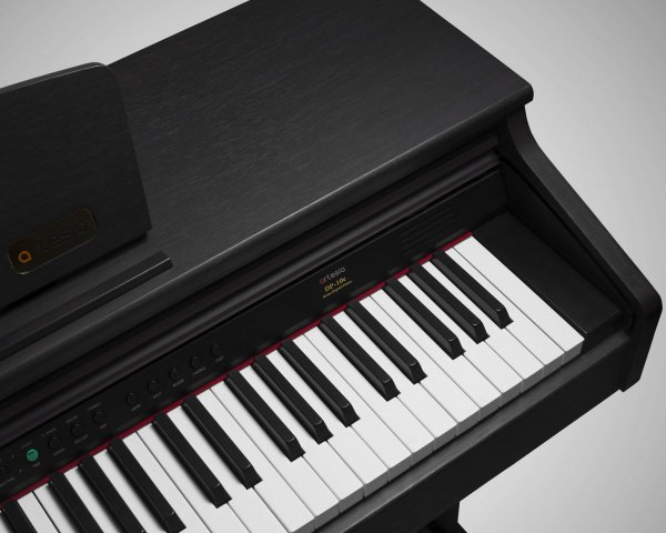 Artesia DP-10e