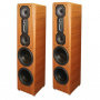 Legacy Audio Focus SE