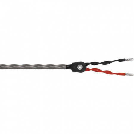 Wireworld Equinox 8 Speaker Cable 2.0m