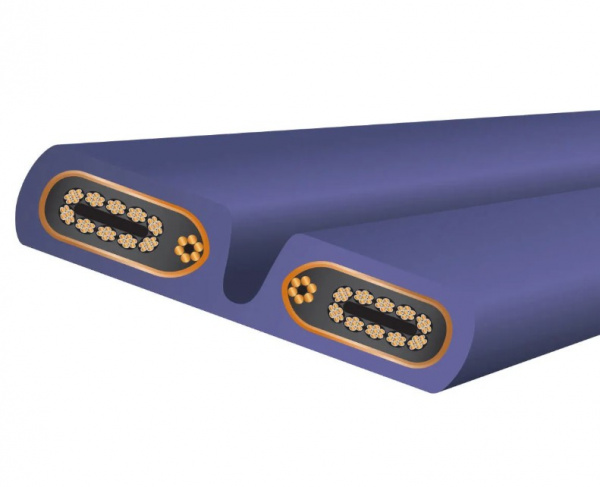 Силовой кабель Wire World Aurora X Power Cord 1.0 m