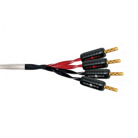 Wireworld Luna 8 Biwire Speaker Cable 2.0m