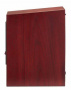 Martin Logan Motion 15i