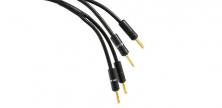 Atlas Hyper 2.0 3.0m [BANANA-BANANA]