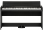 Korg C1