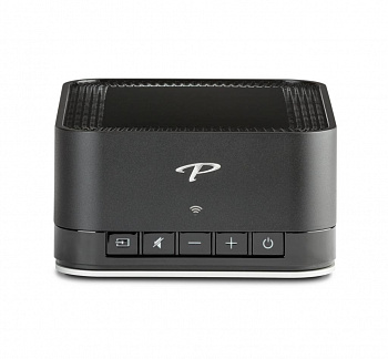 Paradigm PW AMP