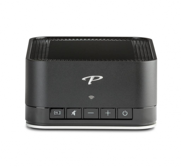 Paradigm PW AMP