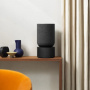 Bang & Olufsen Beosound Balance Black Oak