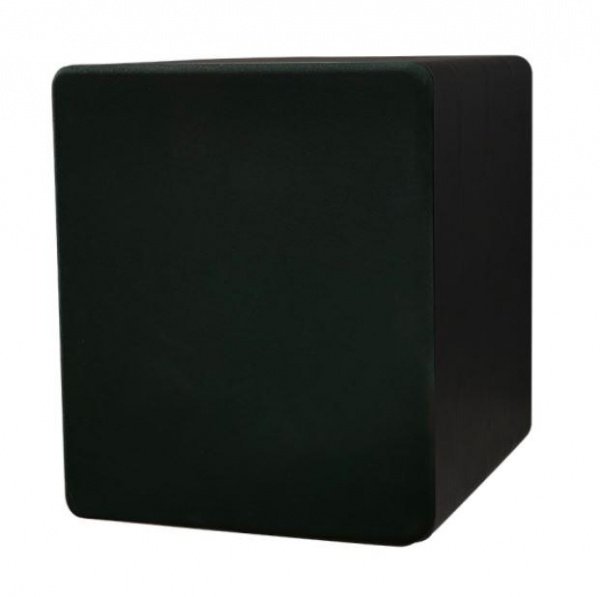 Tone Winner SW-D4000